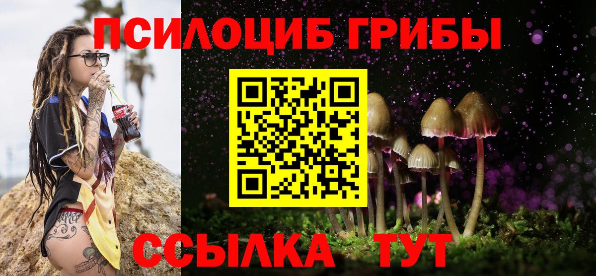 Черняховск  Псилоцибиновые грибы GOLDEN TEACHER  Вход с VPN 